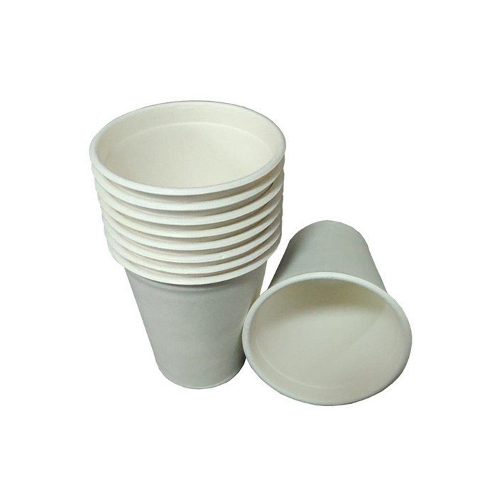 sugarcane cup from mmcis china